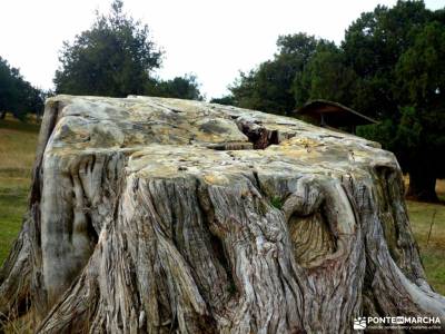 Enebral y Ermita Hornuez;Villa Maderuelo;recorrido por madrid la garganta del cares tiempo sierra de